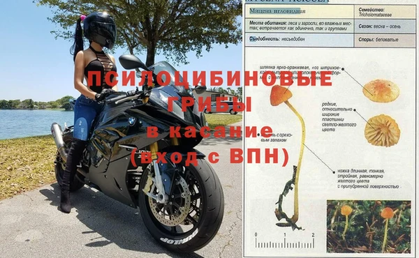 твердый Баксан